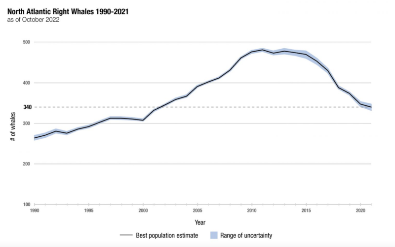 U.S. agencies propose to protect whales while building wind power